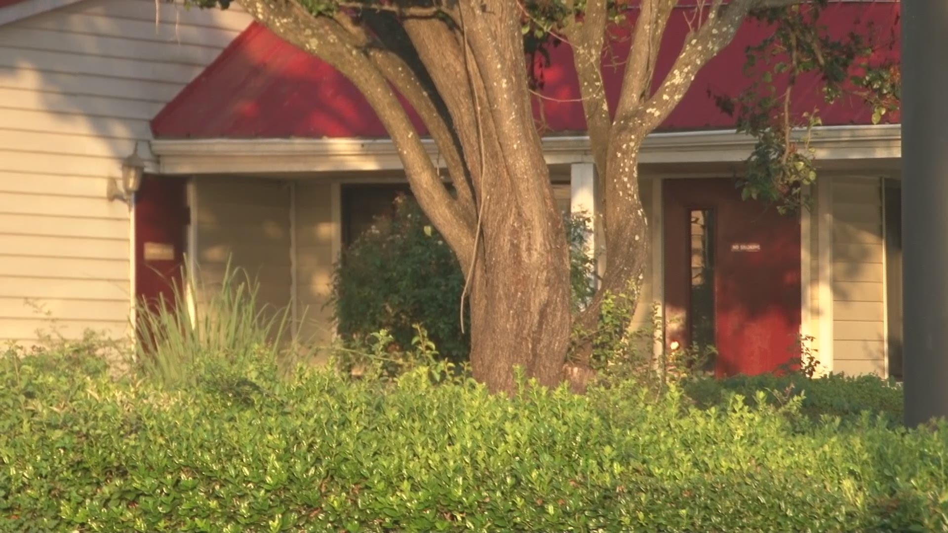 A man was shot dead in Warner Robins Wednesday at Executive Inn on Watson Boulevard at about 4:15 a.m.