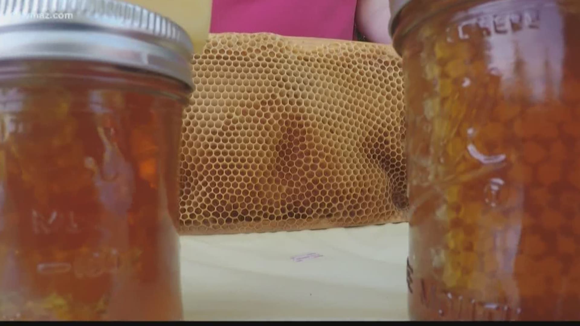 Jones Co. student starts organization to educate people about honeybees