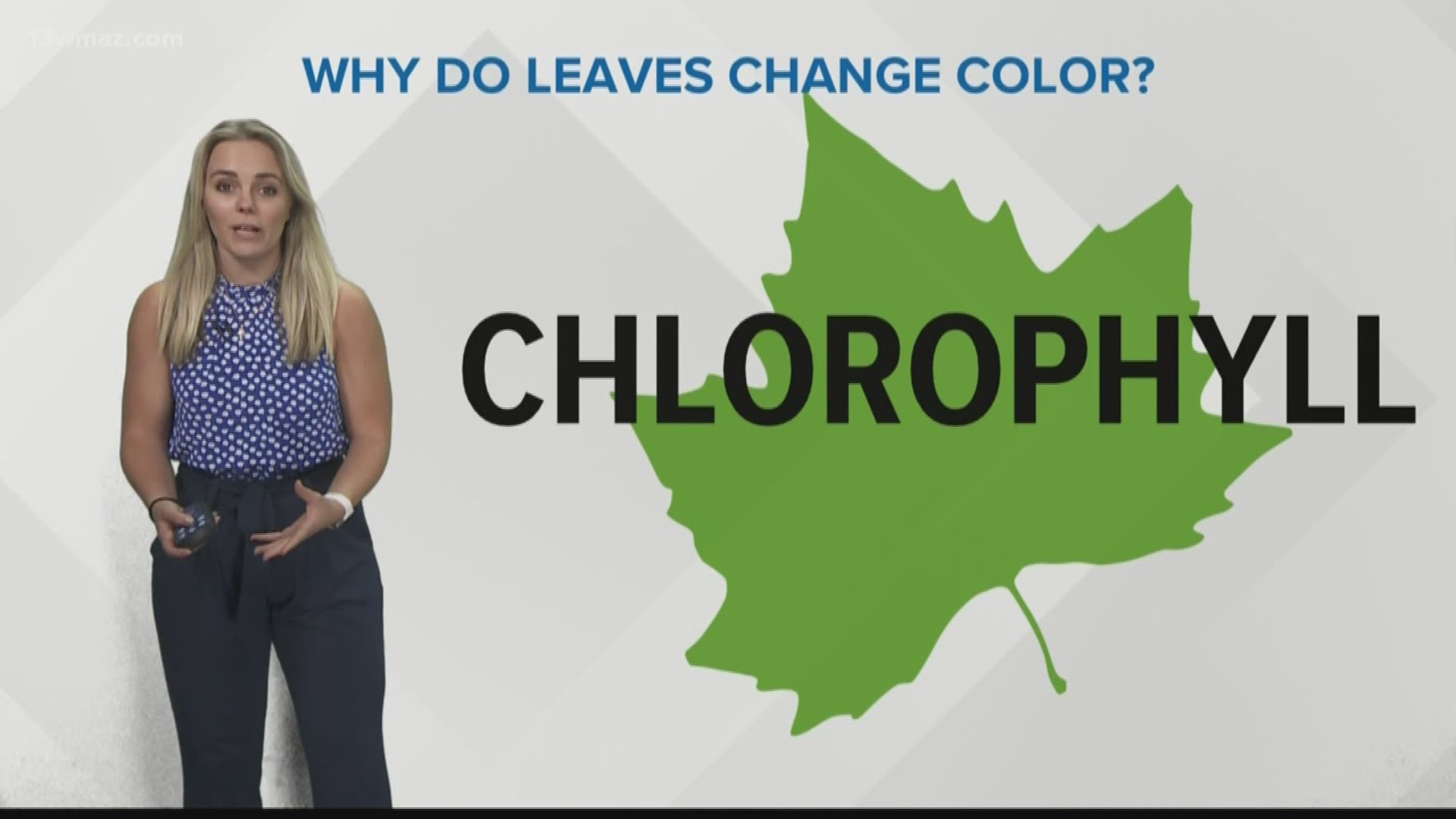 As we sweat through the rest of summer, we can't help but wish for fall to come sooner, not only for the cooldown, but for the colors. Courteney Jacobazzi has more on how our weather could impact when the leaves change.