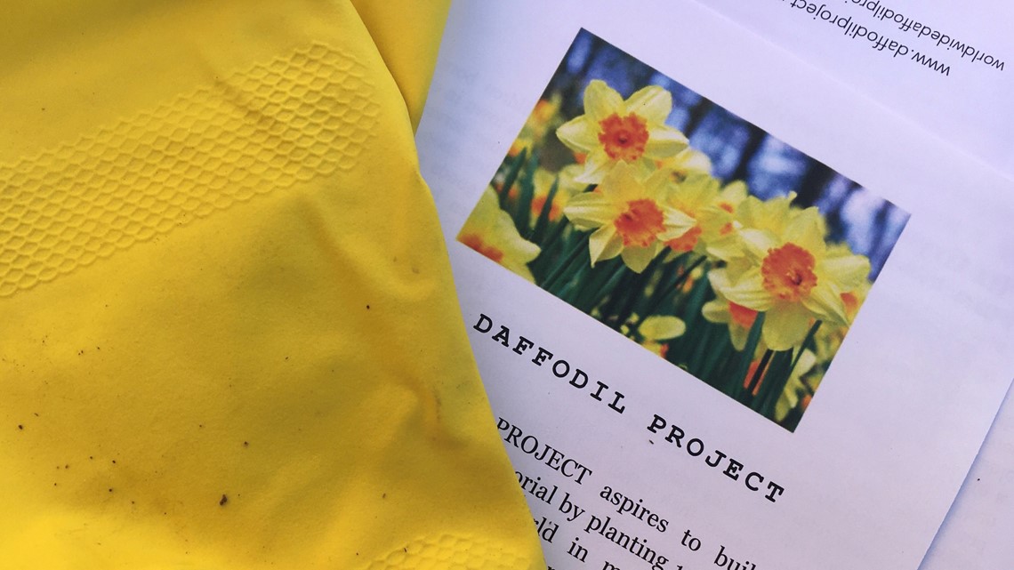 College students plant daffodils for Holocaust victims