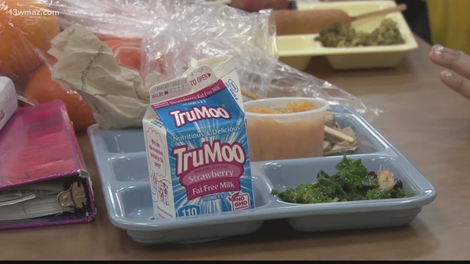 houston-county-students-must-apply-for-free-reduced-lunches-13wmaz