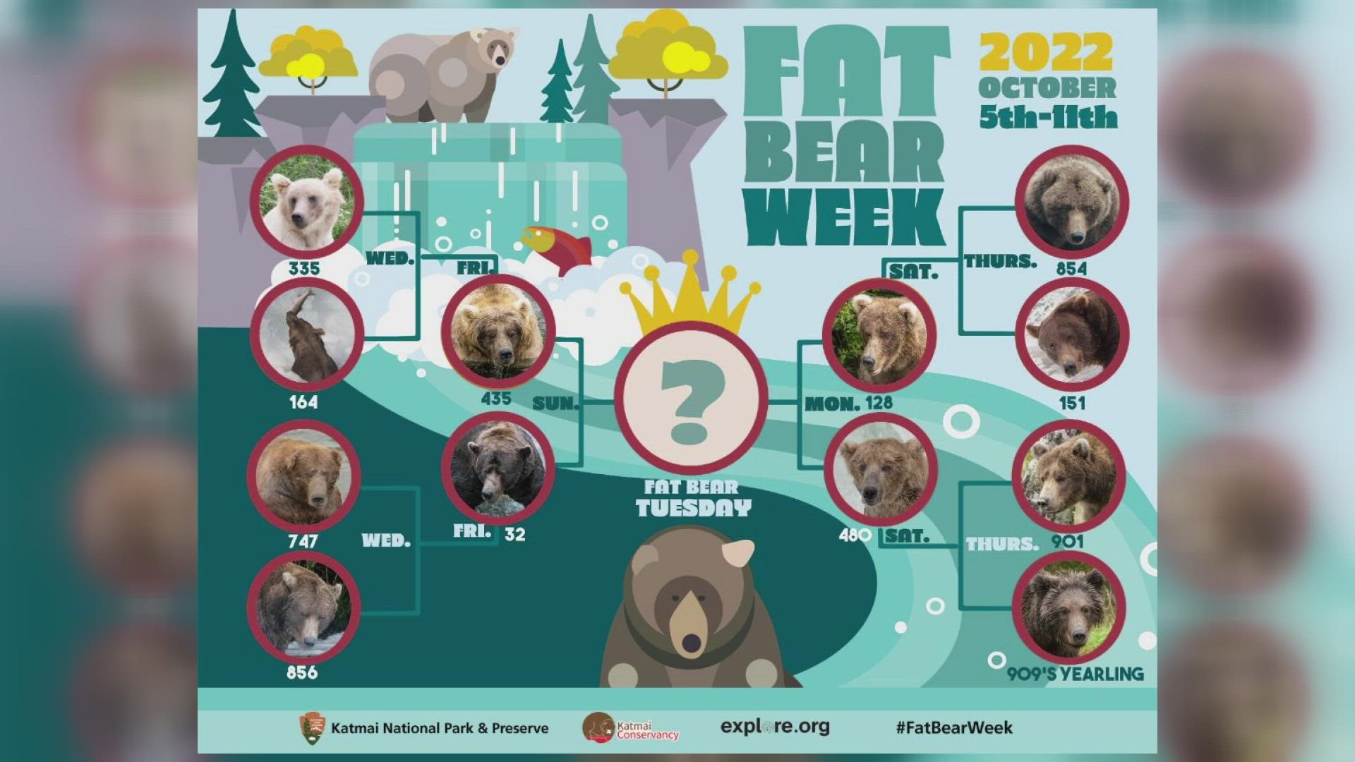 fat-bear-week-2022-how-to-vote-for-your-favorite-bear-13wmaz