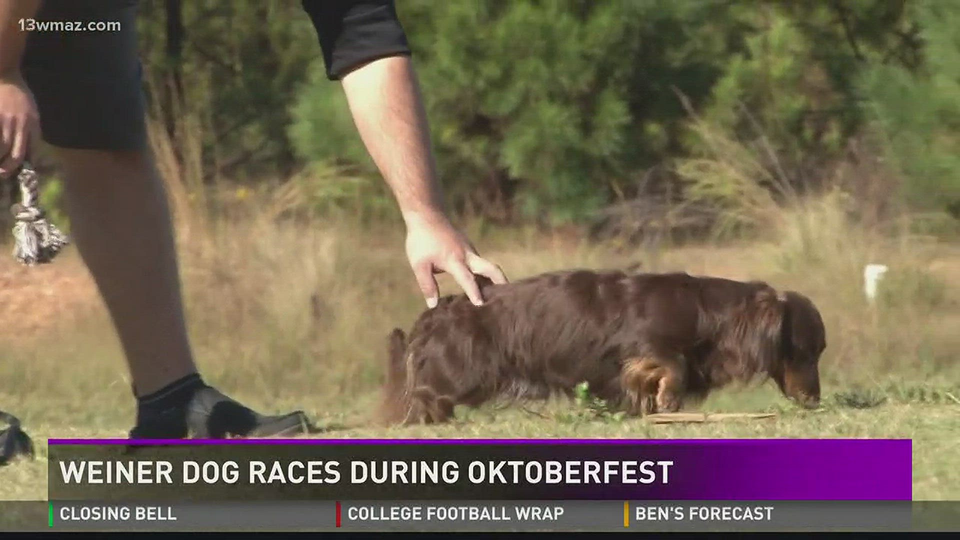 Captivating Oktoberfest Wiener Dog Races 2025 Abstract Illustration Captivating Oktoberfest Wiener Dog Races 2025 Abstract Illustration