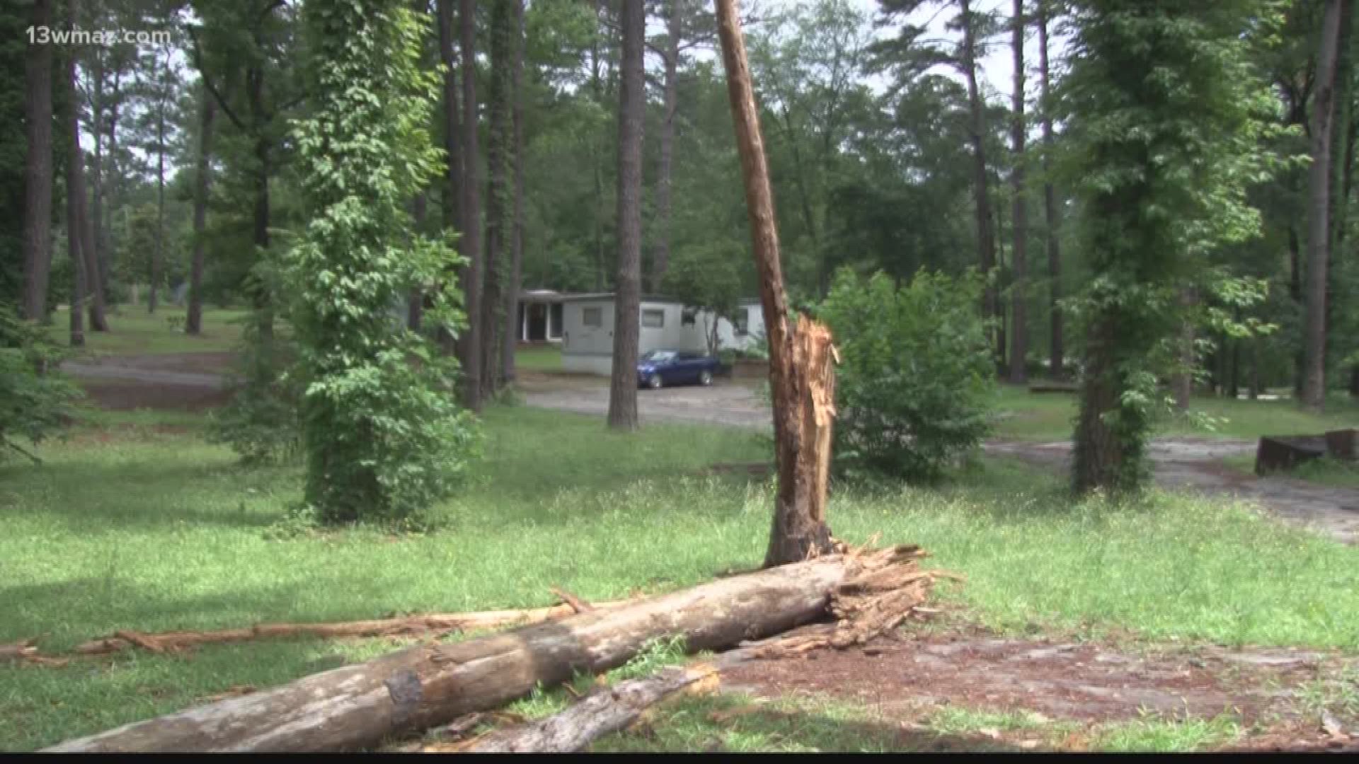 Tree falls onto Warner Robins woman's home