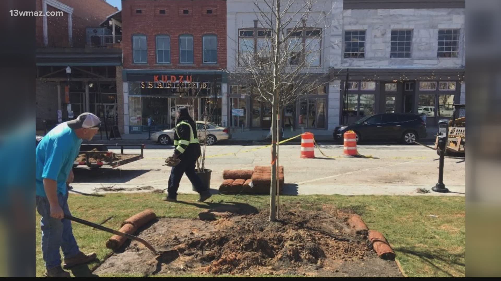 Local organizations gathered at Macon City Hall to celebrate trees planted and the beautification of Macon.