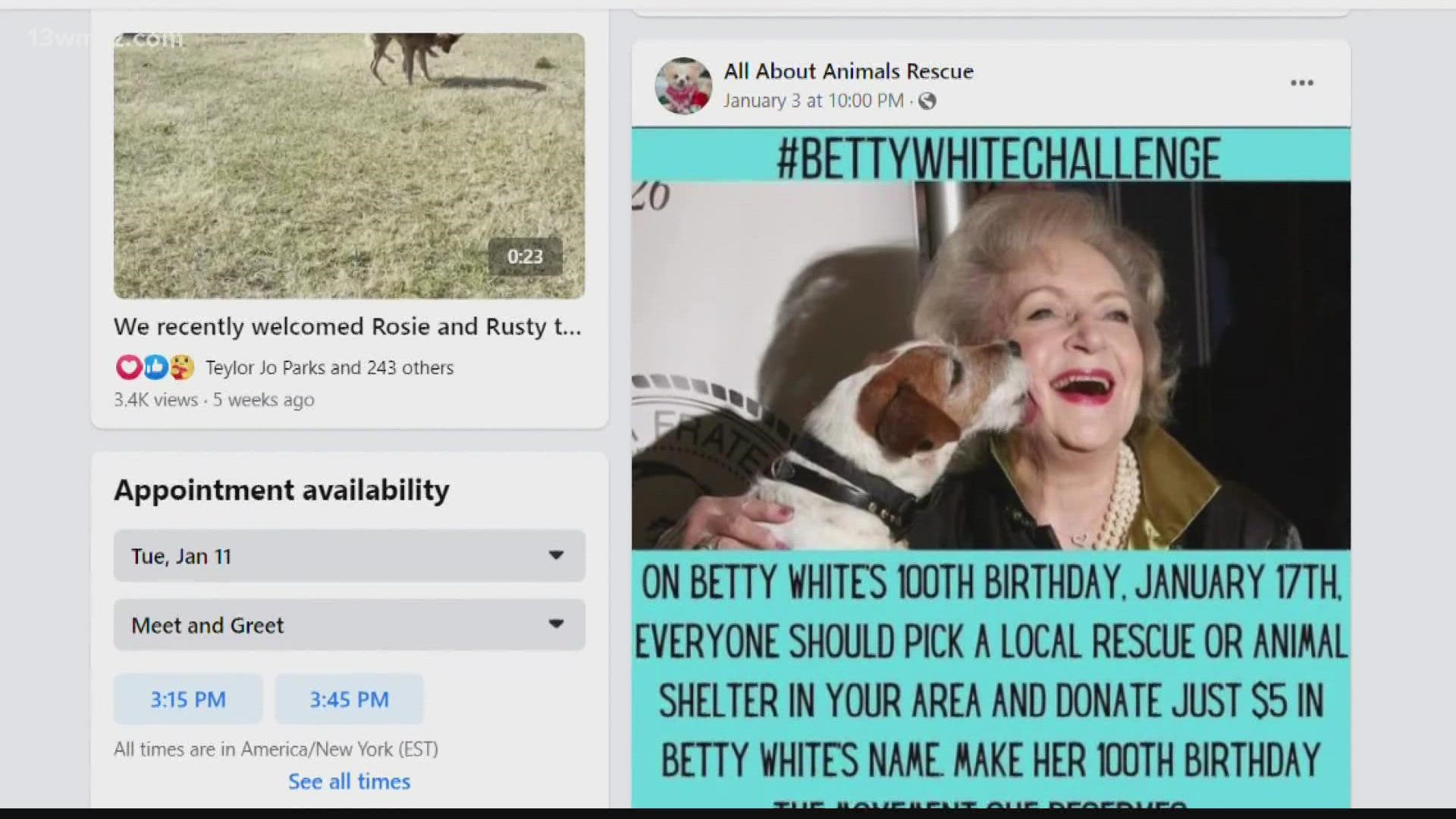 Animal shelters are asking you to make $5 donations next Monday, January 17,  Betty White's birthday.