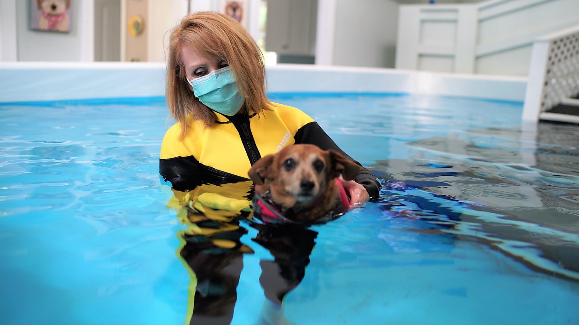 Owner Patti Jones says dog aquatics are great for hounds to blow off steam, learn to swim, exercise without joint pain, or help with weight loss