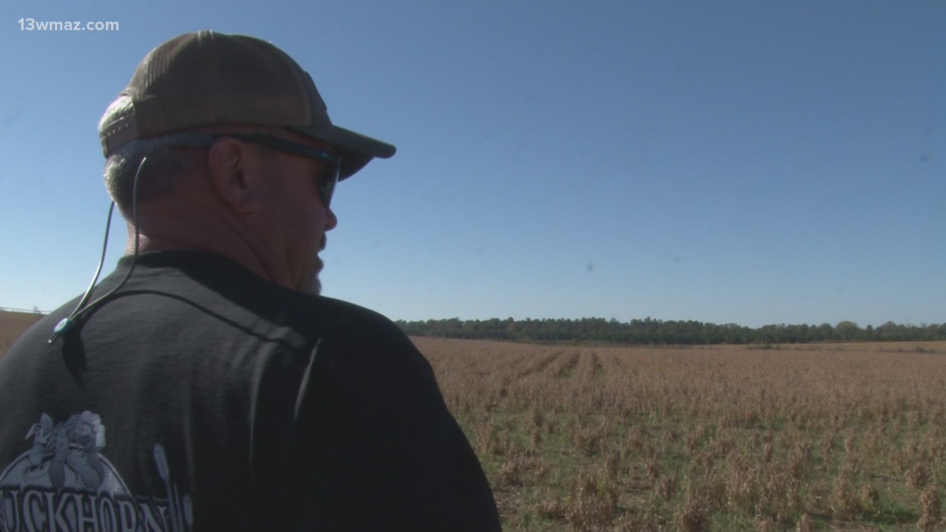 Laurens County farmer, Cody Lord, said in one 140-acre soybean field, he'll only be able to harvest half as much as usual due to deer eating and destroying them.