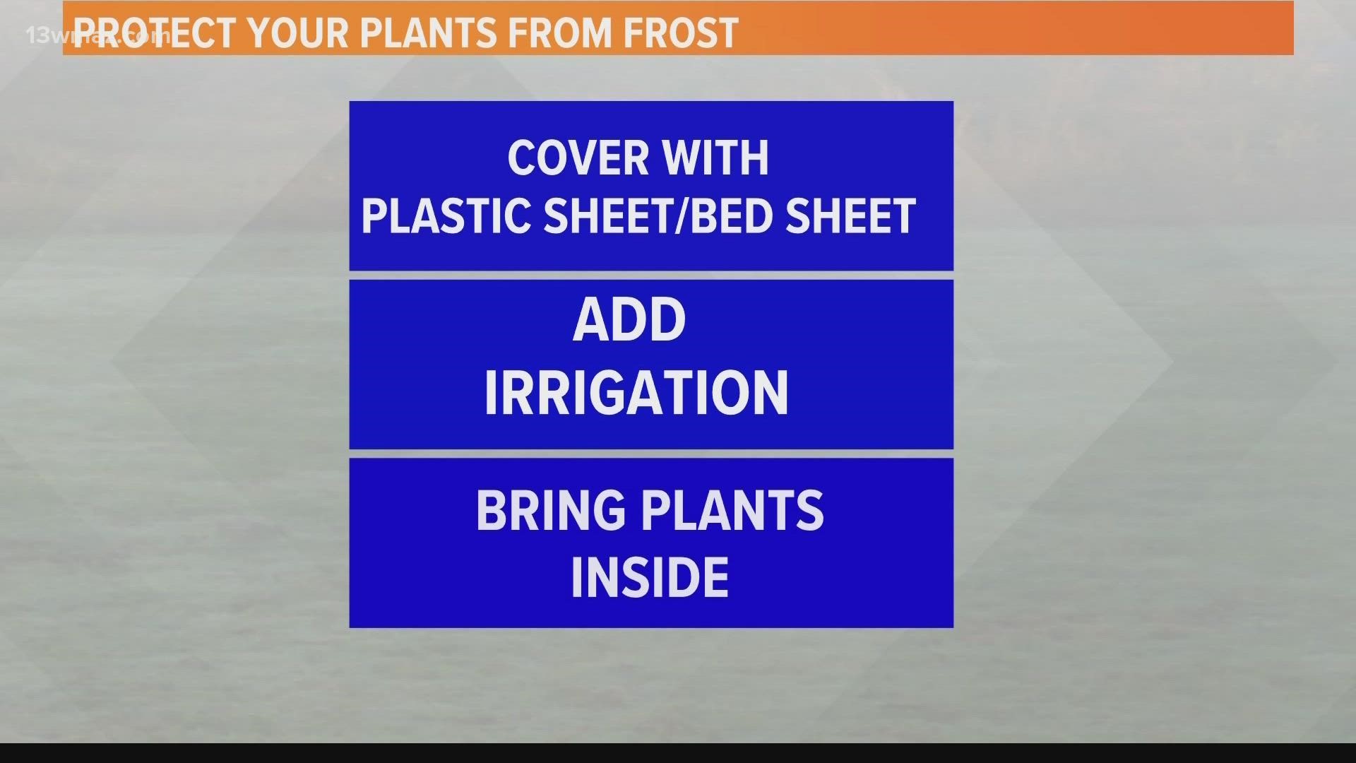 While our warmer weather might have you fooled that frost is far off, climatologically, it's not.