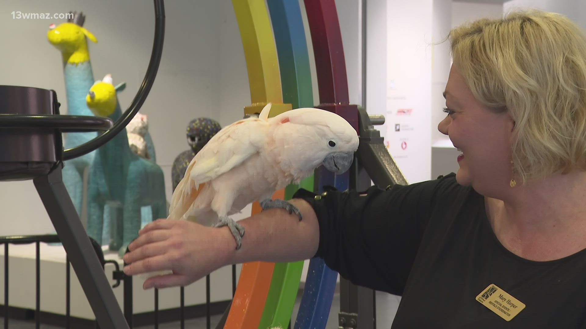 The event takes place Saturday from 10 a.m. to 4 p.m.  And you might get to meet the Moluccan Cockatoo "Georgia."