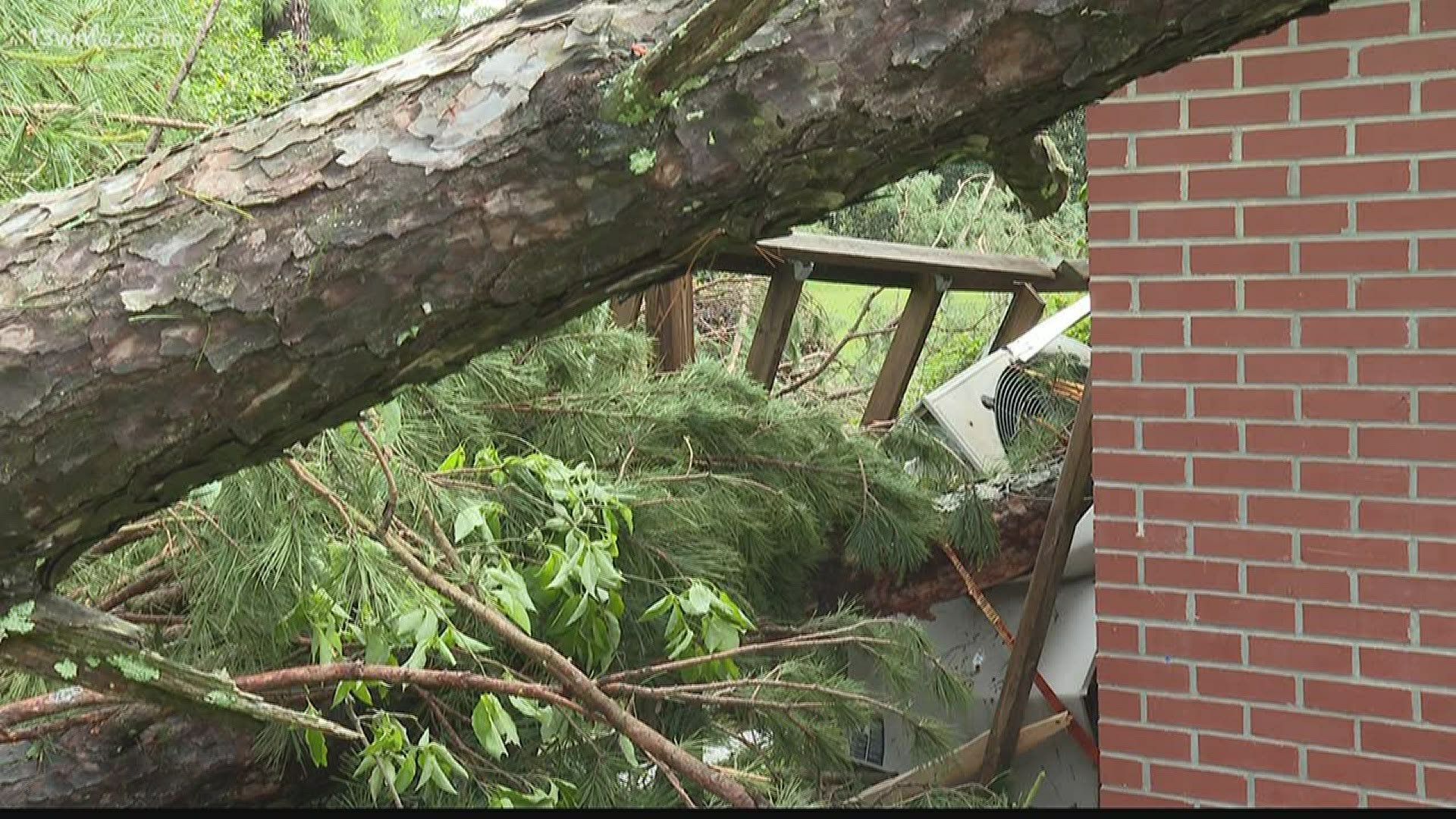 One of the hardest hit areas in Sunday's storm is Hawkinsville, where several falling trees damaged homes and cars.