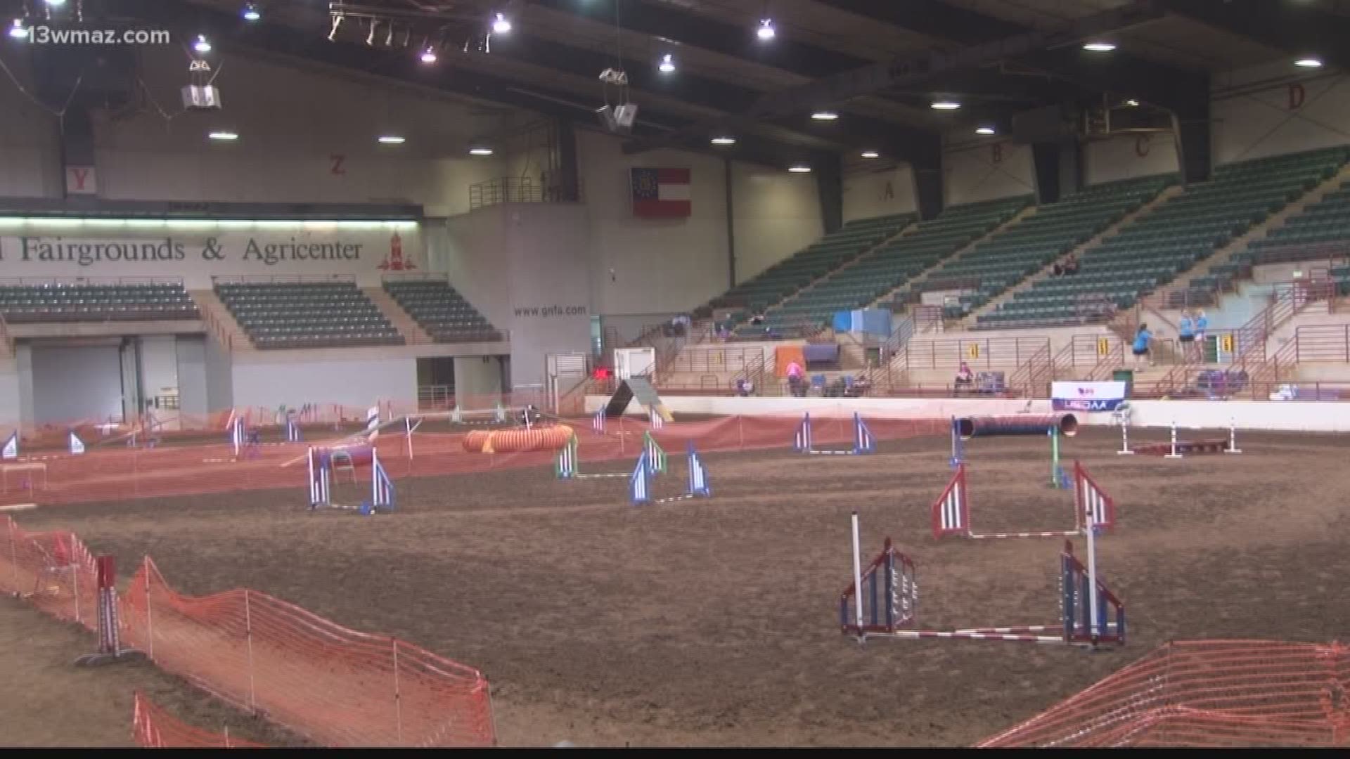 Dogs put their agility to the test at Reaves Arena