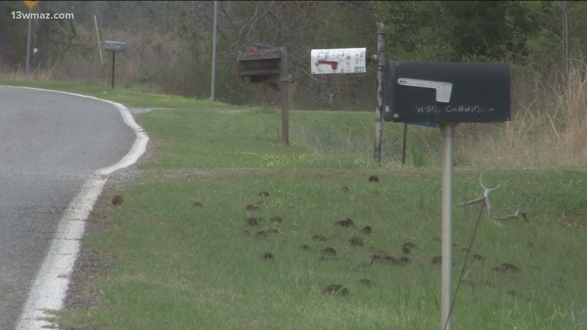 Debby Newell, who's disabled, says she's been getting her mail delivered onto her property with no problem for decades, until January of this year.