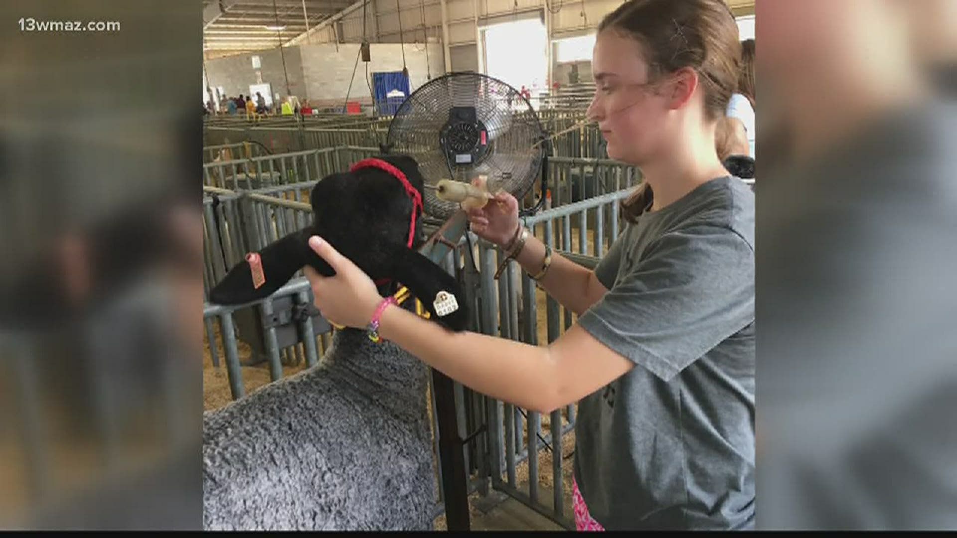 Mary Persons High Agriculture Teacher Bill Waldrep says about 3,000 FFA students across Georgia would have been competing in Macon this week.