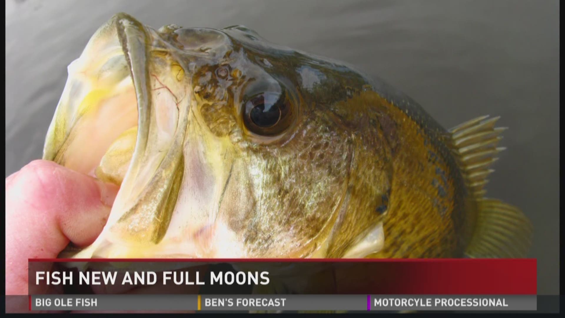 Fishing Tip: Fish new and full moons