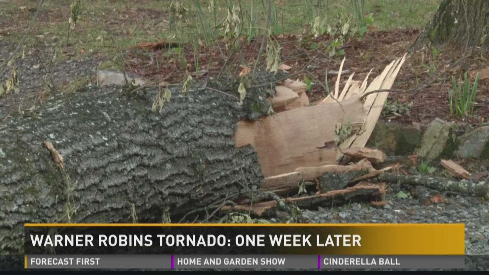 Warner Robins tornado: One week later