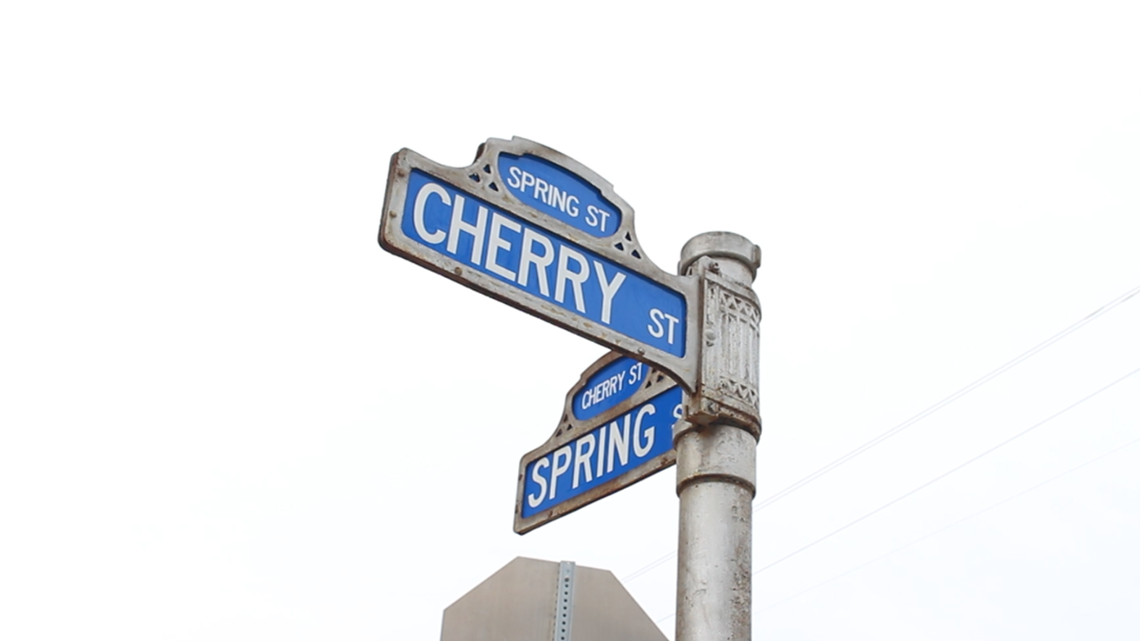 just-curious-why-are-the-streets-in-downtown-macon-named-after-trees