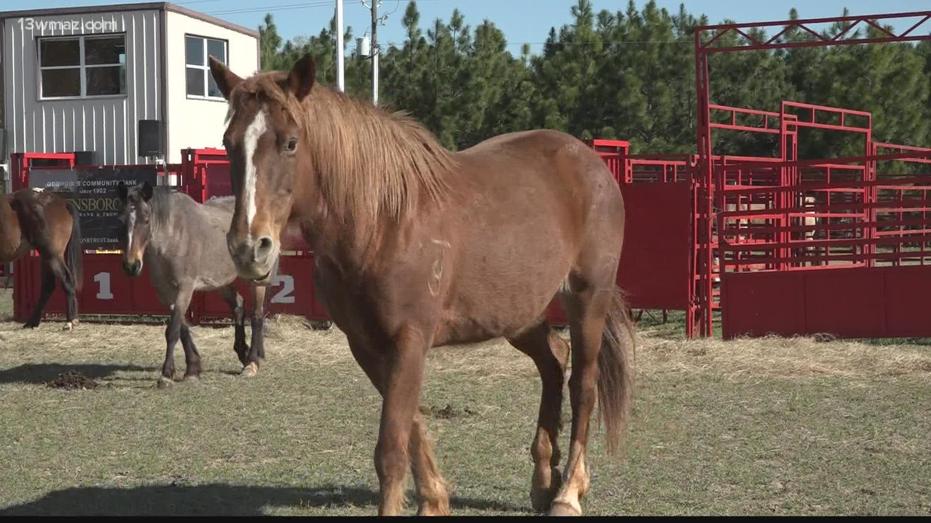 The Ag Center rodeo is the primary fundraiser and all the money raised goes to educational groups and help maintain the facilities.