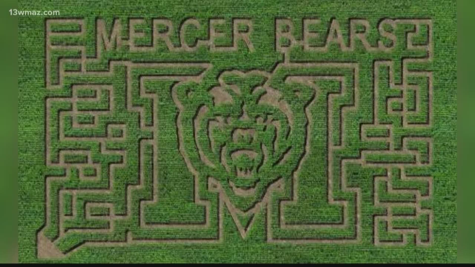 The Fort Valley orchard opened its corn maze on October 2 and plans to keep it up until Halloween.