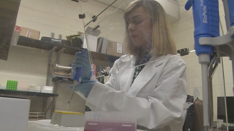 Georgia College researching deadly bacteria in Puerto Rican waters