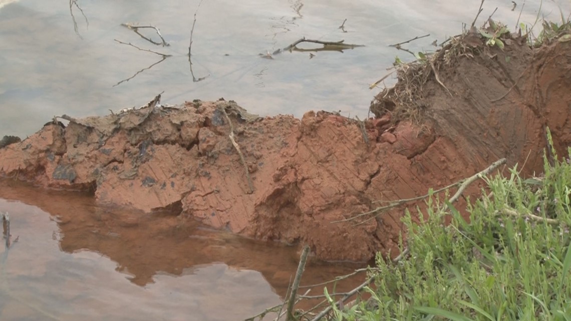 2 dogs die when woman made wrong turn into pond at Perry dog show - Vimarsana News