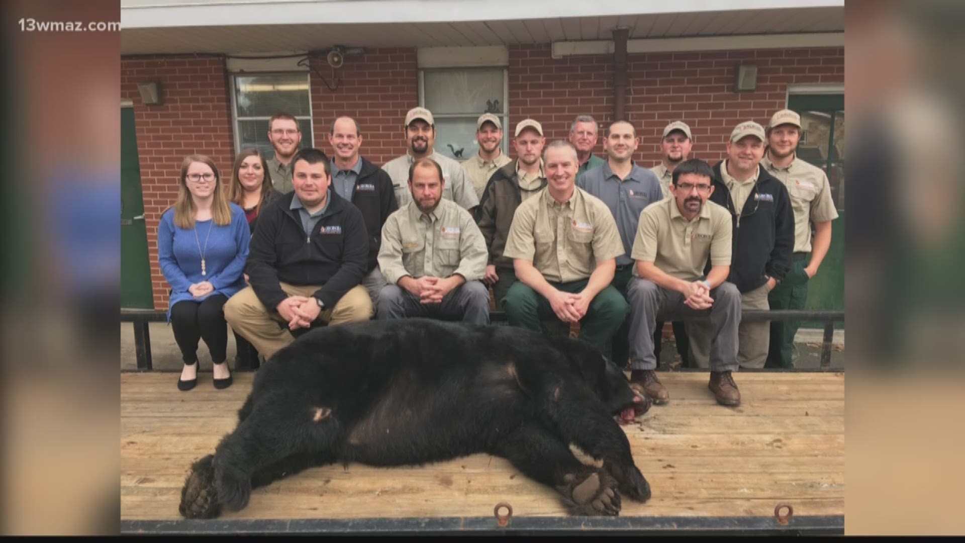 This week a woman hit a massive black bear in Twiggs County and the photos have gotten a lot of buzz on Facebook.