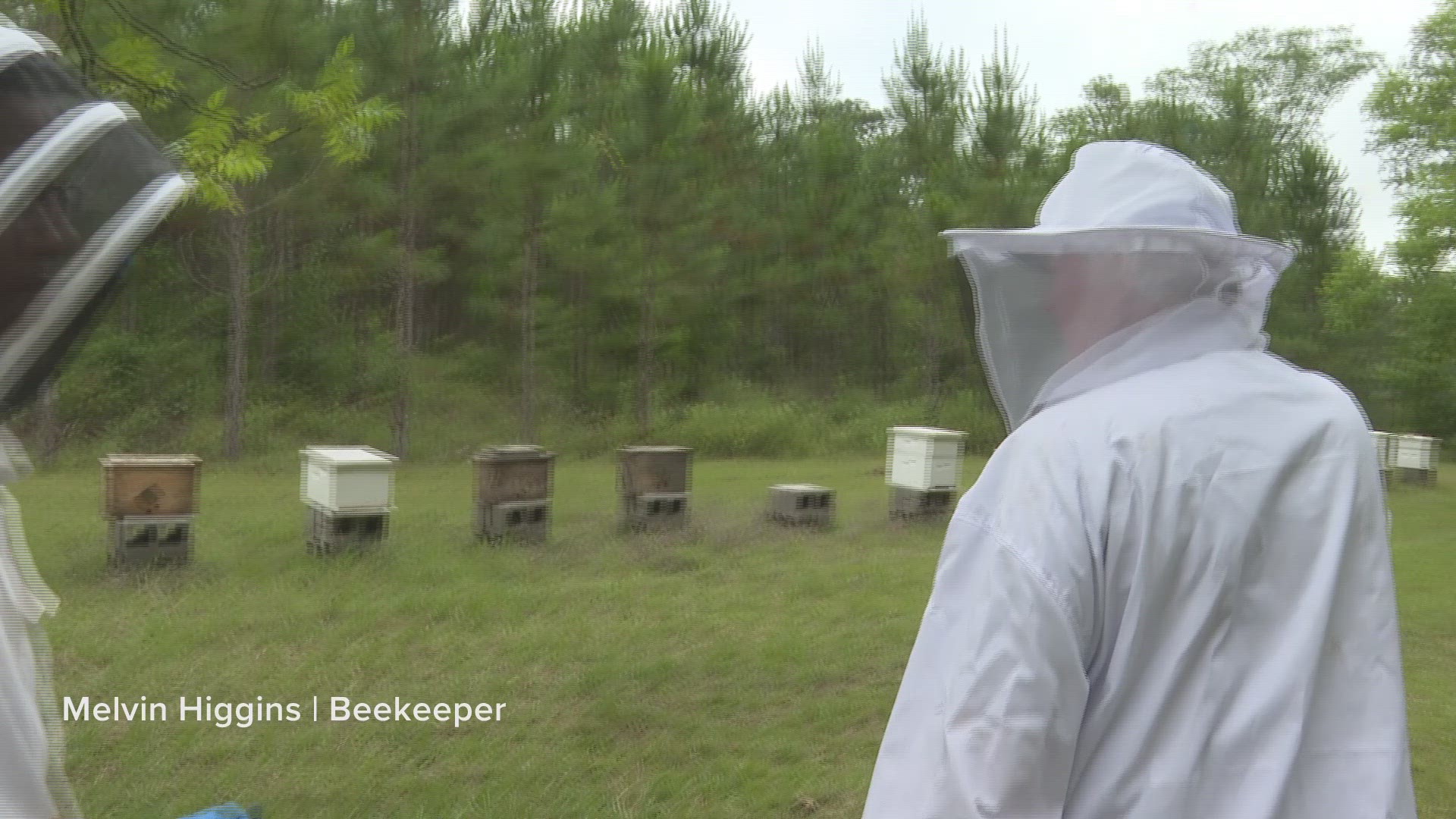Meteorologist Jordan West talks with beekeepers and researches on how bees interact with weather, and how vital they are to Georgia's agriculture.