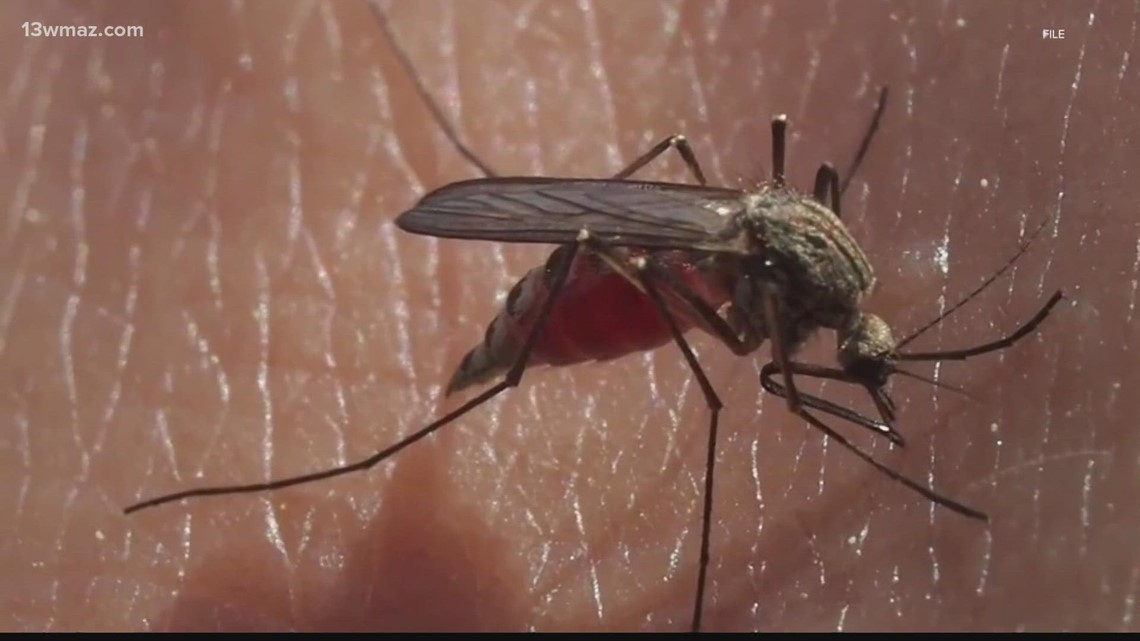 Mosquito season: Keeping the bugs at bay