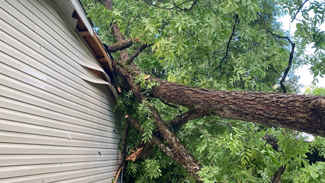 Davisboro family home damaged after severe storms