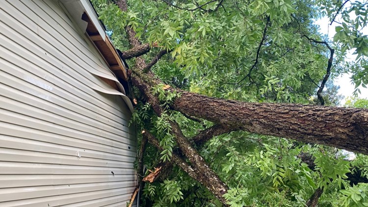 Davisboro family sees damage after a tree falls through their roof