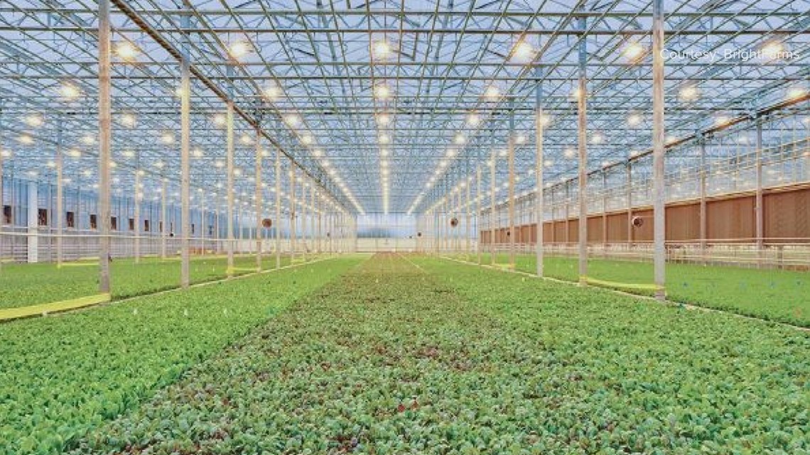 Greenhouse project could bring 300 jobs to south Bibb
