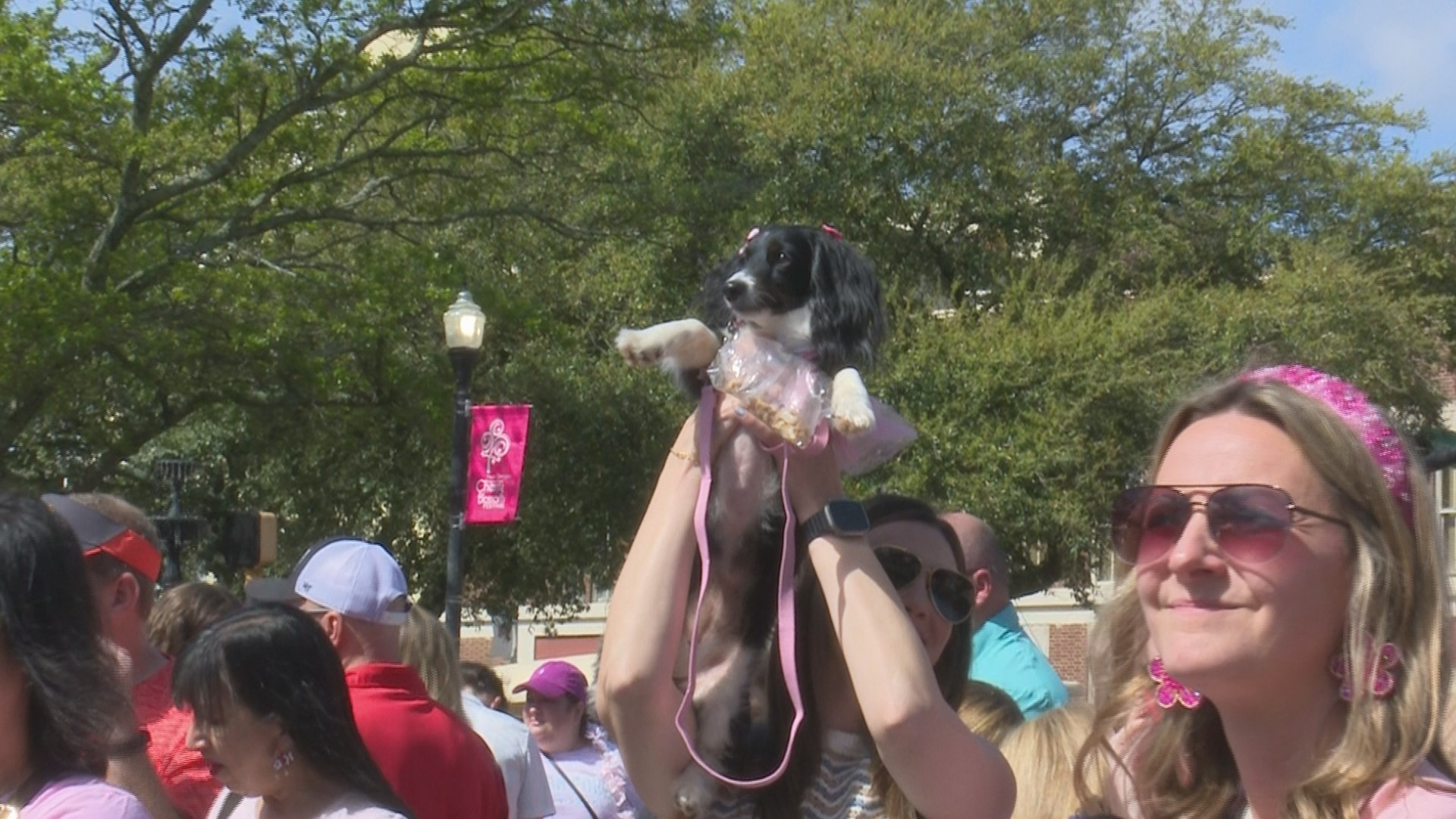 From musical chairs to the wiener dog race the city of Macon came together for some first-day fun here at the Cherry Blossom festival.