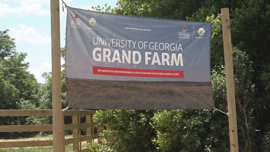 UGA's record $654M research budget fuels high-tech farm revolution in Perry | Here's how it works