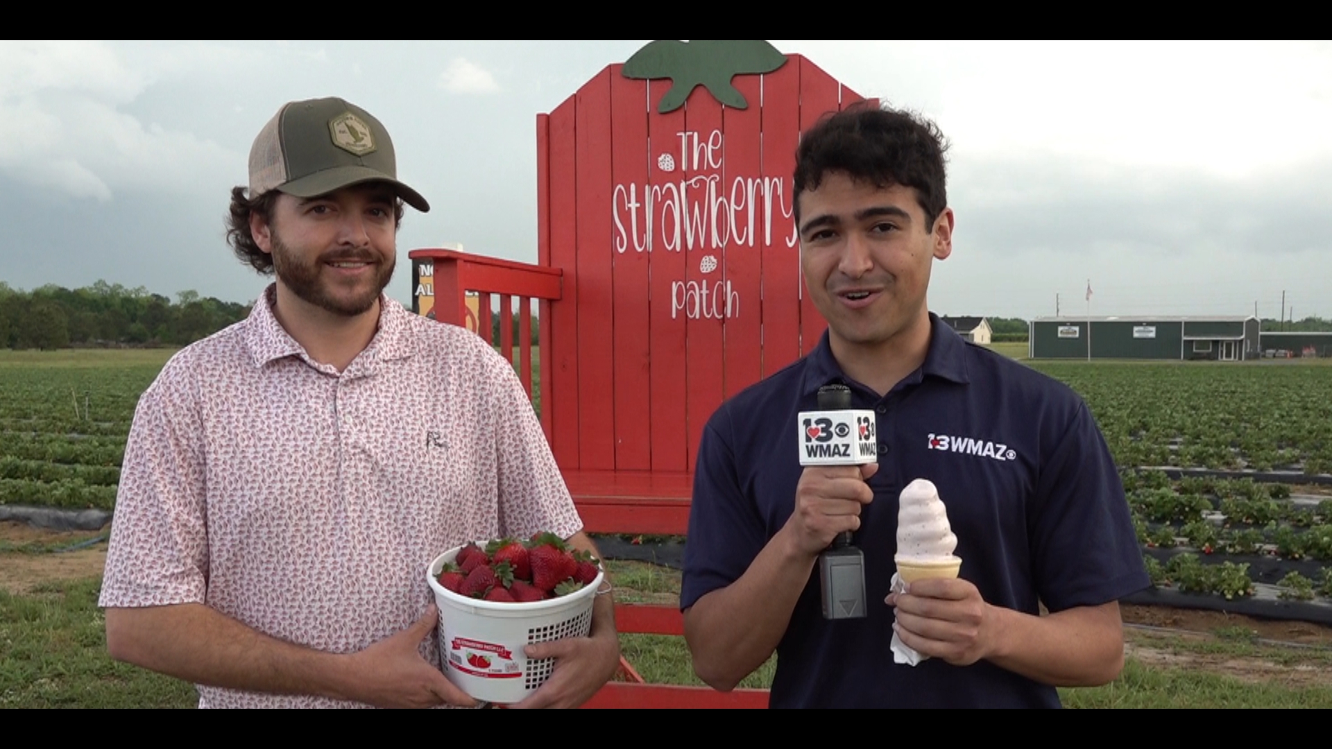 The Georgia Strawberry Festival will bring a fun, event-filled Saturday for Taylor County.