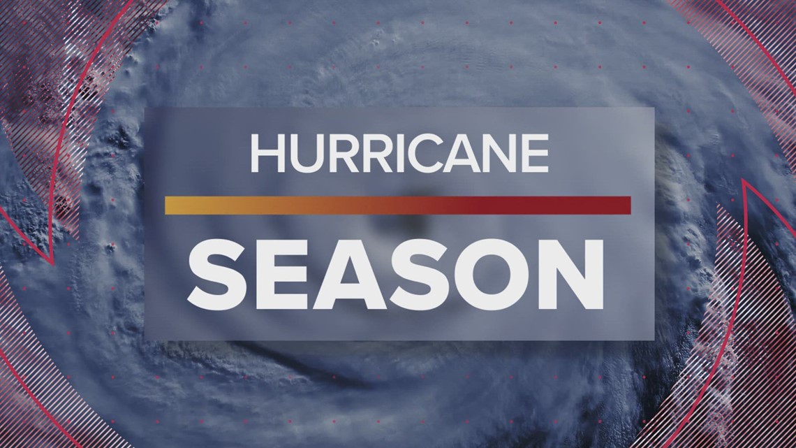 Firefighter injured in Telfair County. EMA Director reports "wide-spread" power outages and downed trees - Vimarsana News