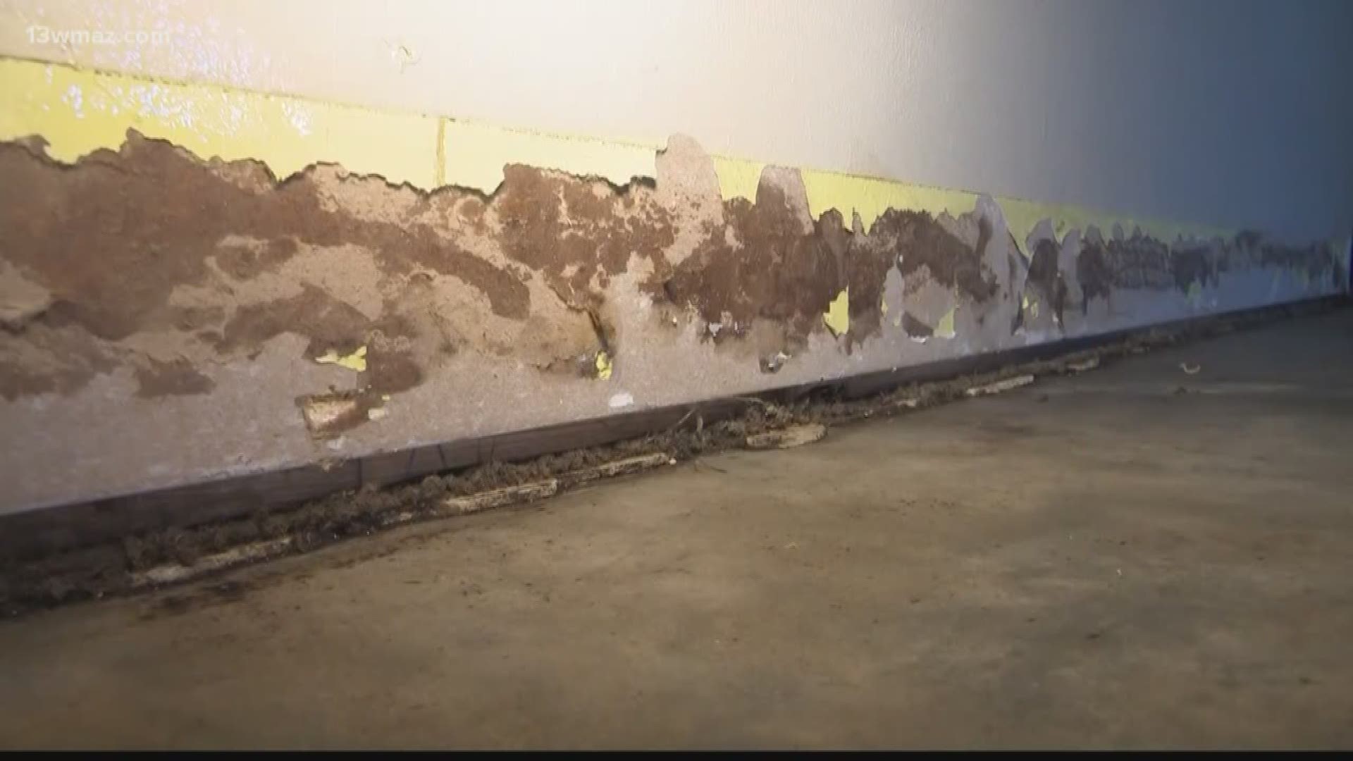 Mold moves some public services in Perry