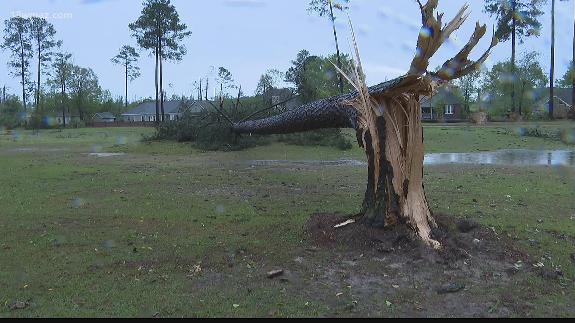 The storms left behind plenty of damage in their wake; including downed trees and powerlines.