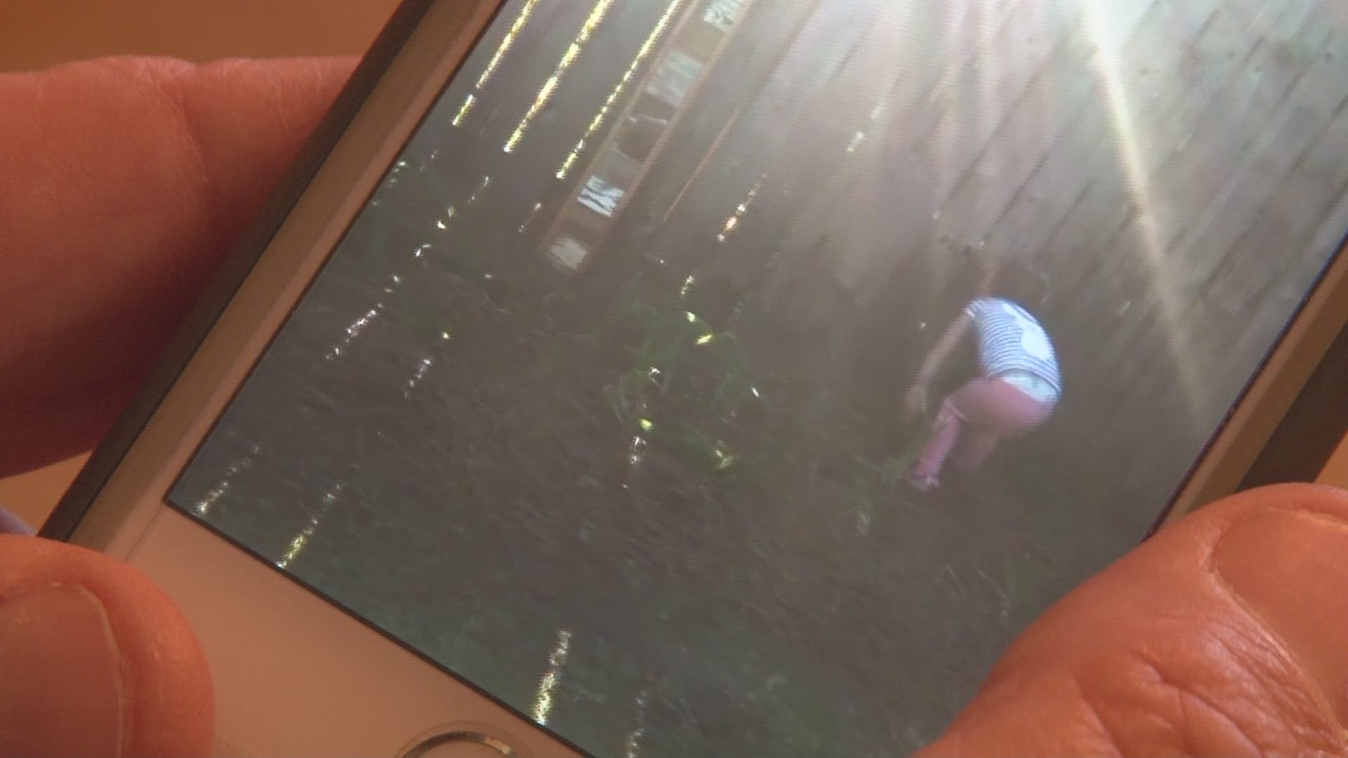 Perry grandfather thinks he sees ghost of granddaughter in his garden