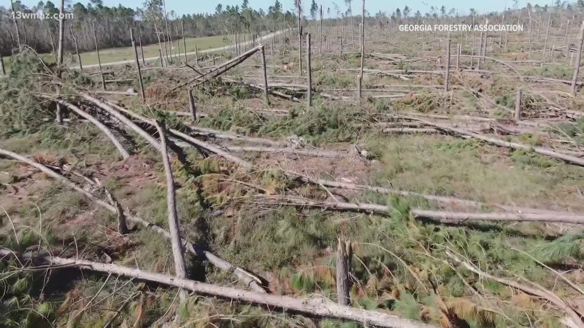 A tree farmer in Treutlen County says his life is flipped upside down after the storm toppled two-thirds of his trees.