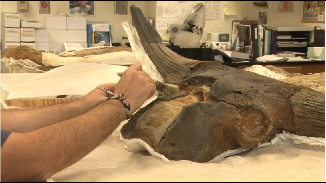Digging up Georgia's past at Milledgeville University - Vimarsana News