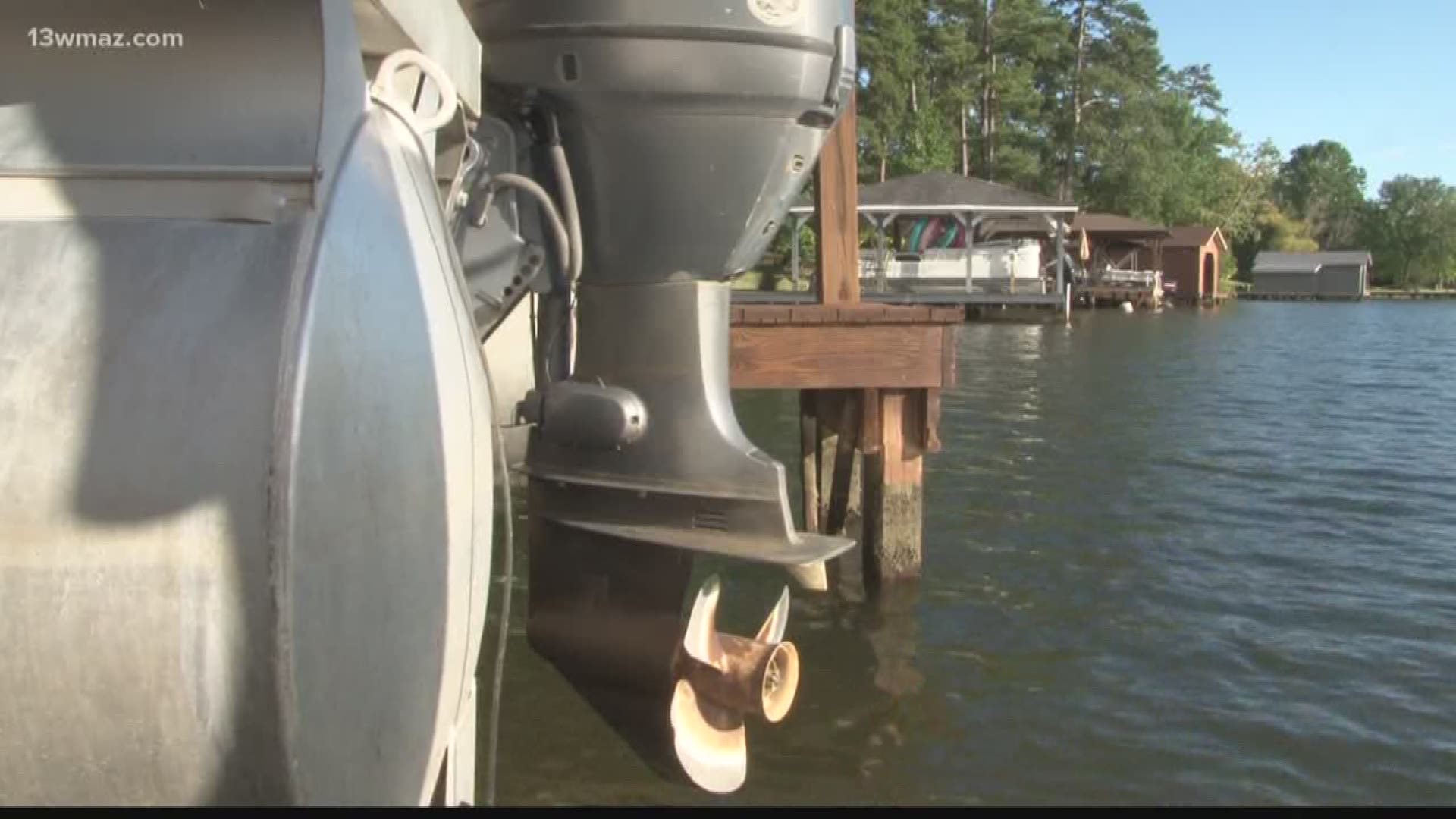 Invasive plants growing in Lake Sinclair