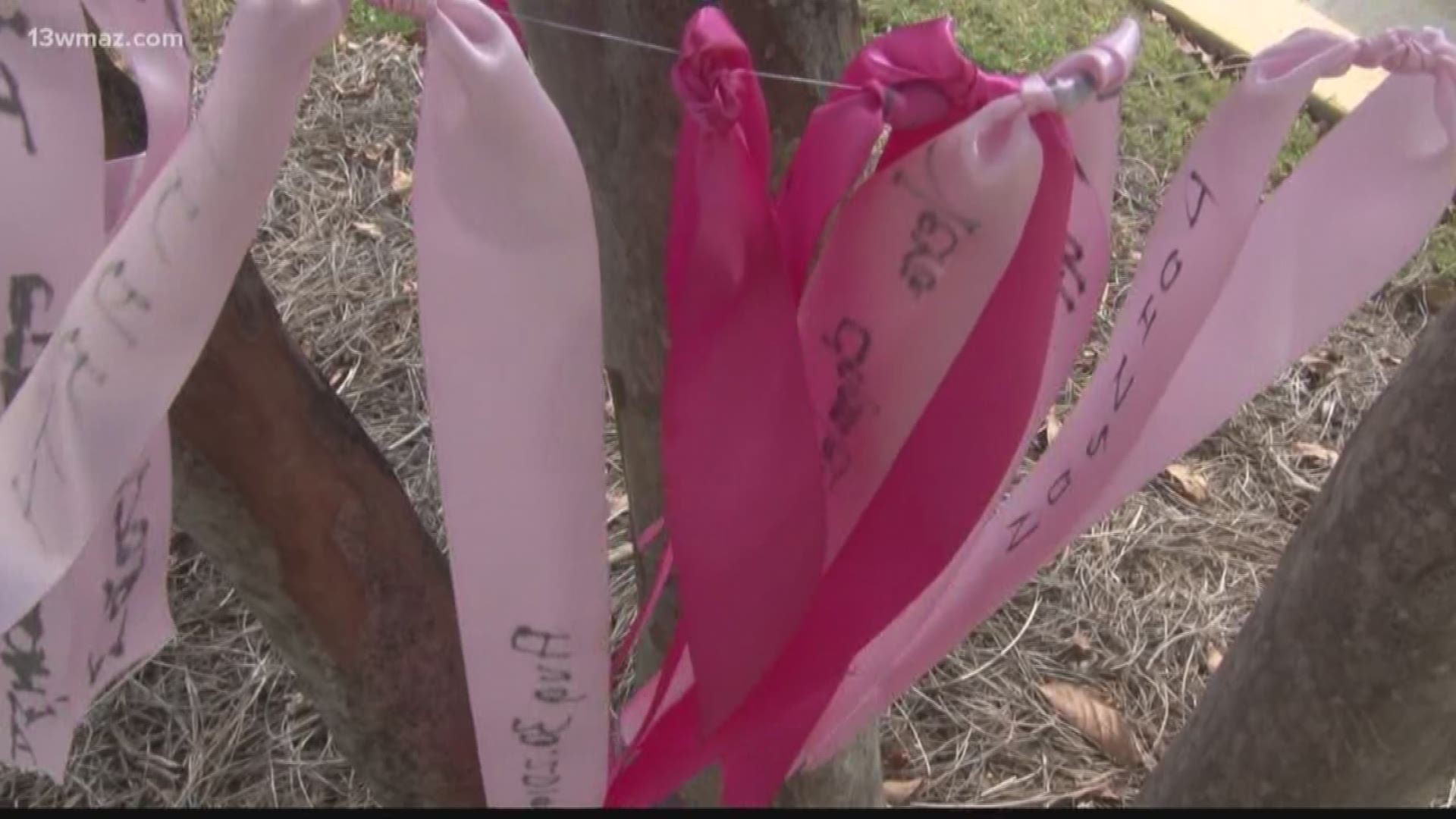 For breast cancer awareness month, Coliseum medical center encourages people to tie pink ribbons to tree outside cancer center.