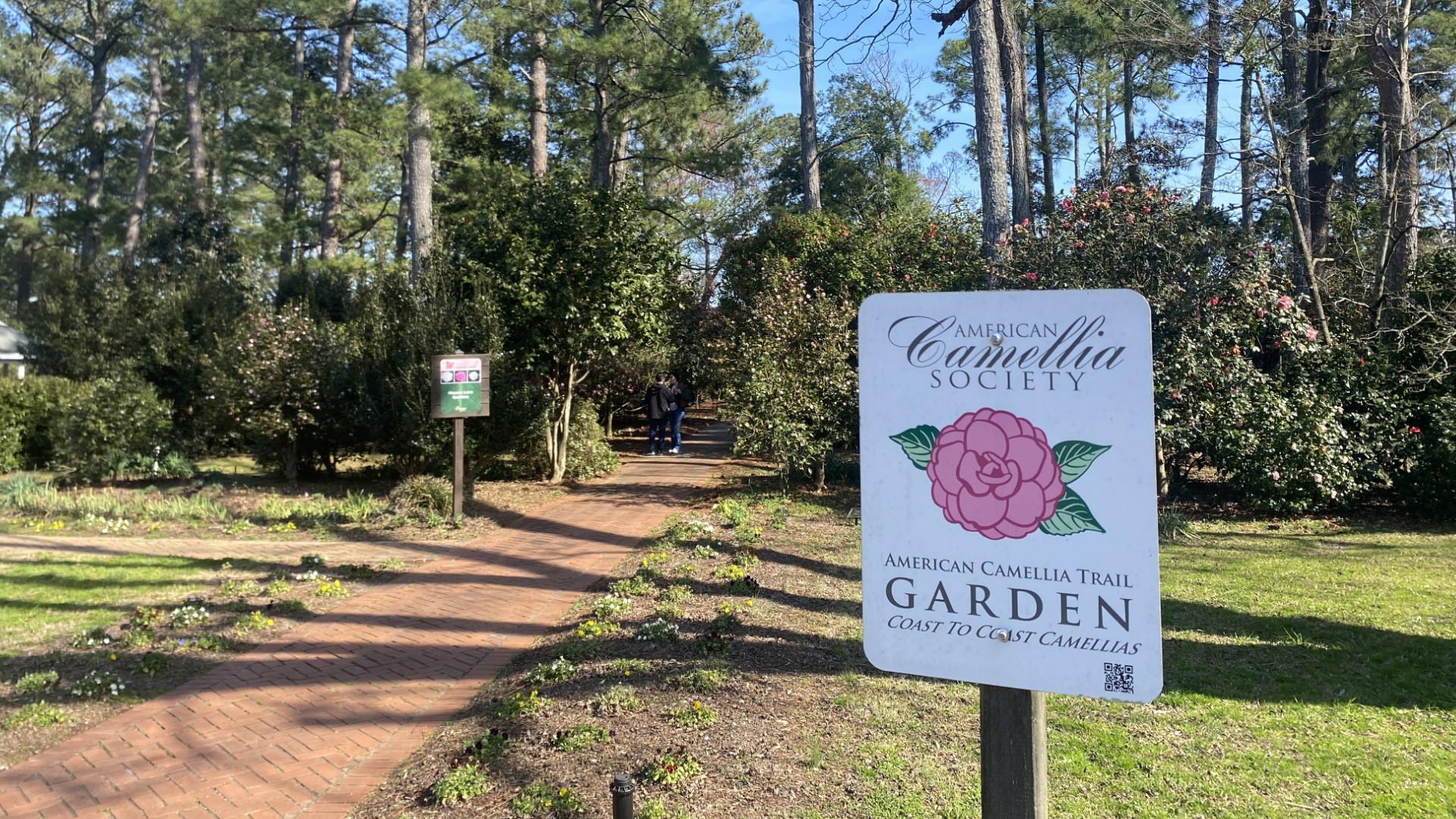 There were retail camellia plants, inflatables for the kids, and two camellia plant raffle drawings for guests to enter.