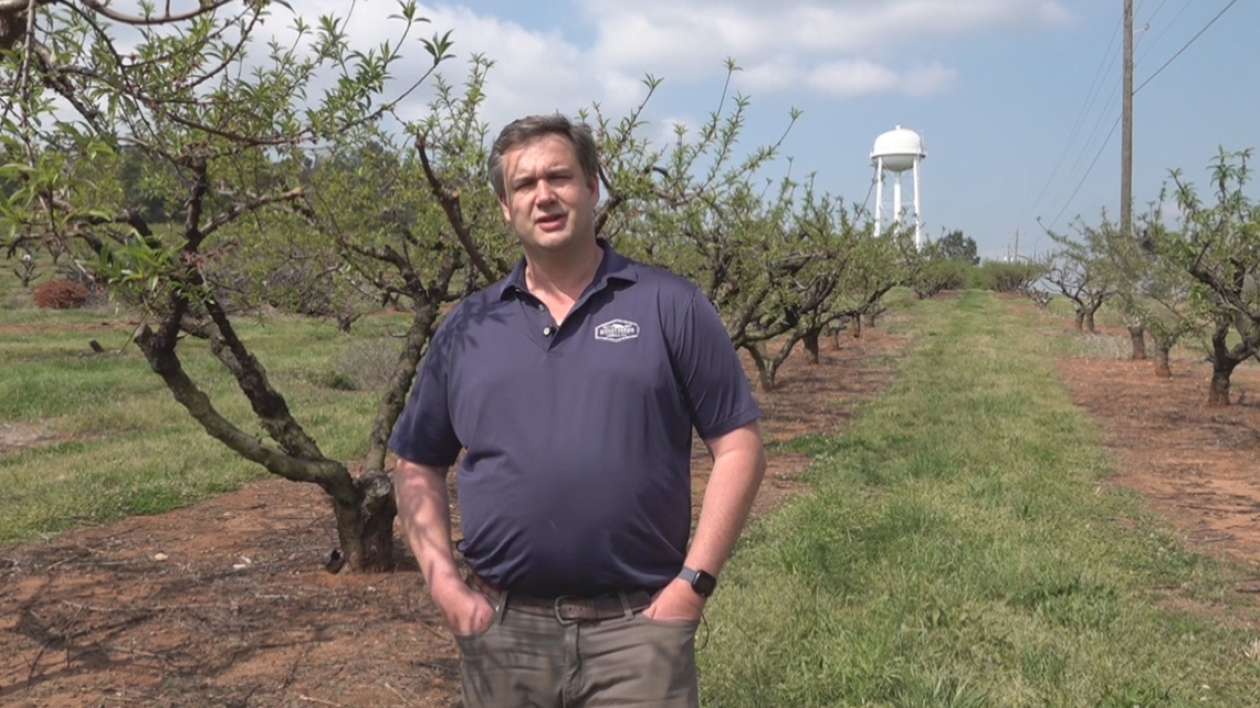 Georgia farmers to face costly season, but Jones Act waiver could offer some temporary relief | Here's how