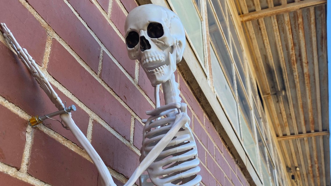 The science behind being scared - Vimarsana News