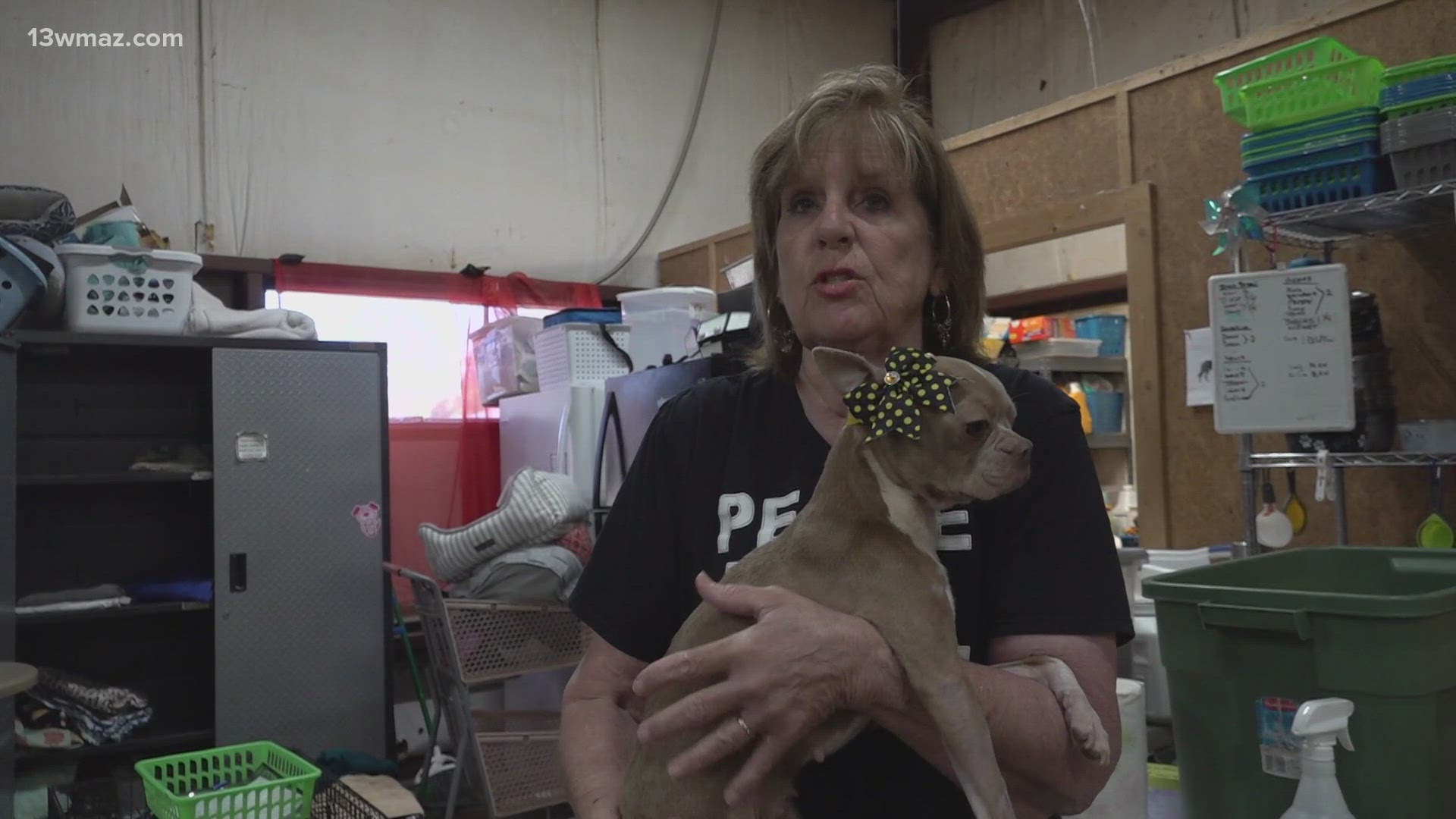 In Houston County, the Humane Society is doing everything it can to care for stray and rescued animals. But when it comes to abandoned pets, their hands are tied. 
