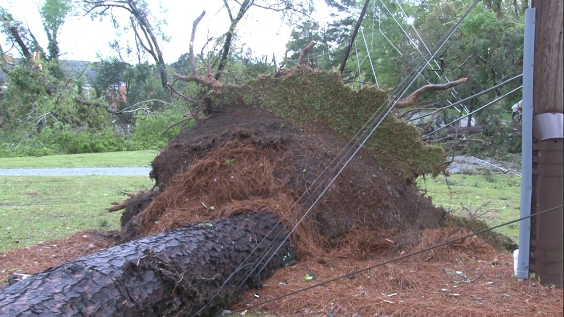 Bibb County starts cleanup effort after damaging storms - Vimarsana News