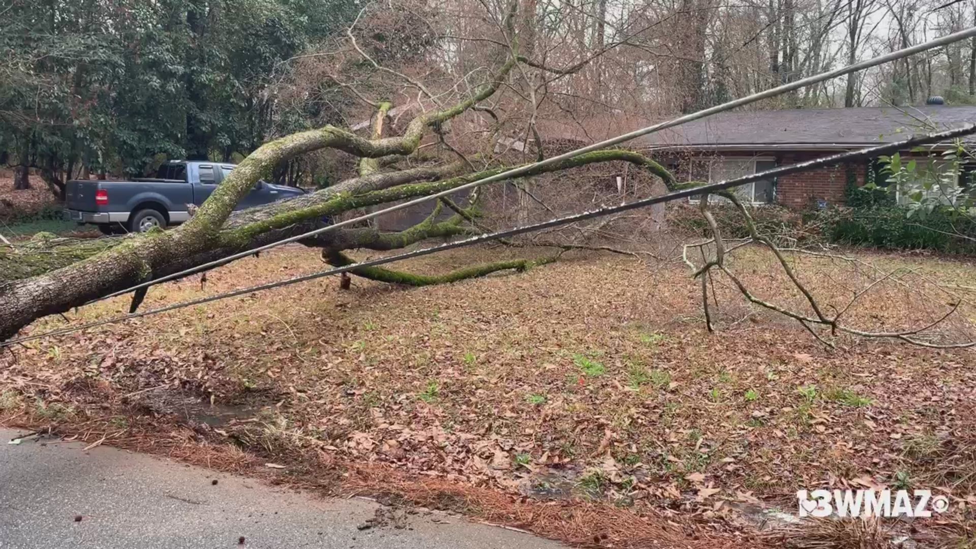 A tree fell down on Briarcliff Road Thursday morning ahead of severe weather that hit Central Georgia.