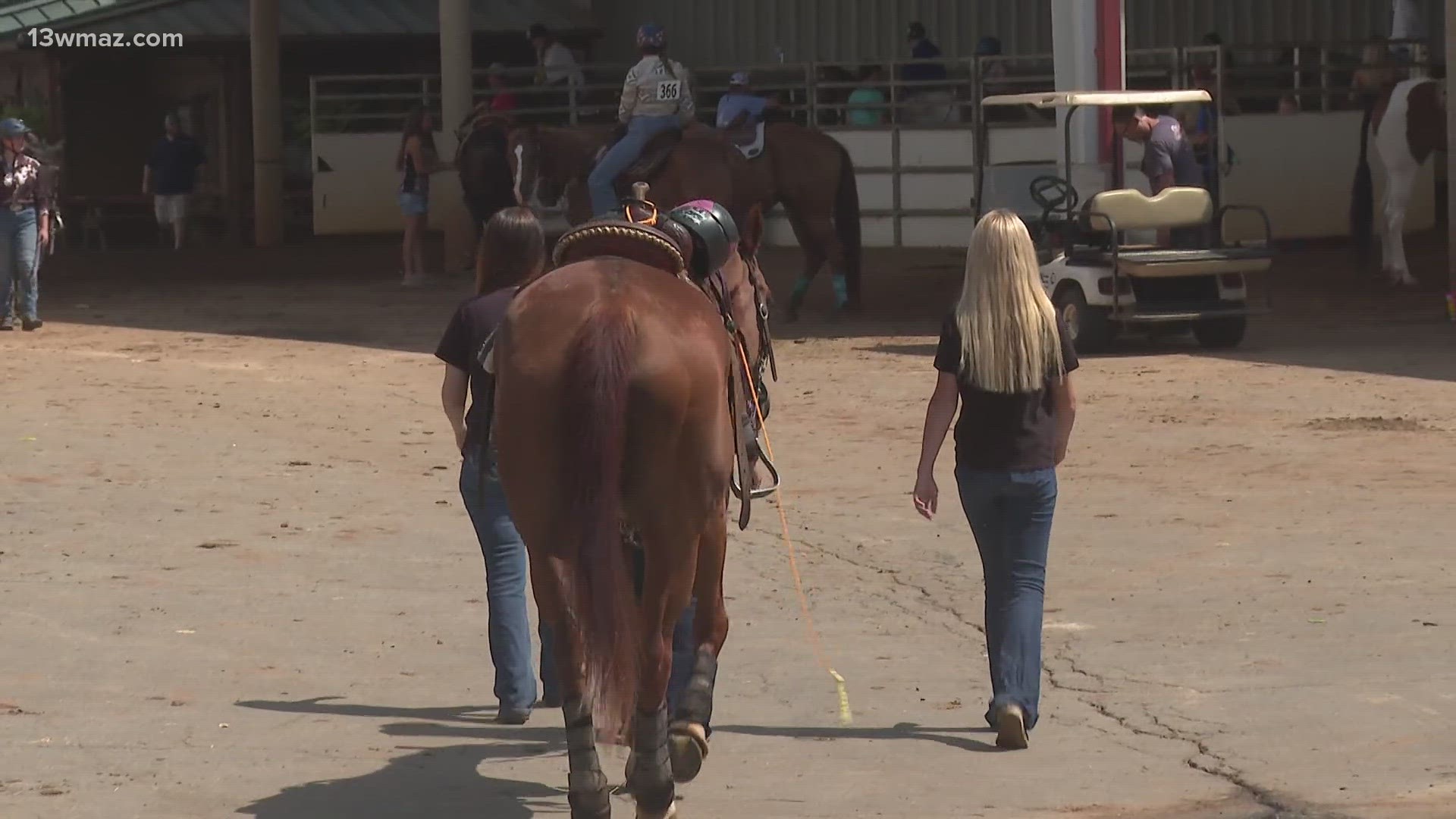 Horses competed in the barrel race, roping, halter and jumping, and western pleasure.