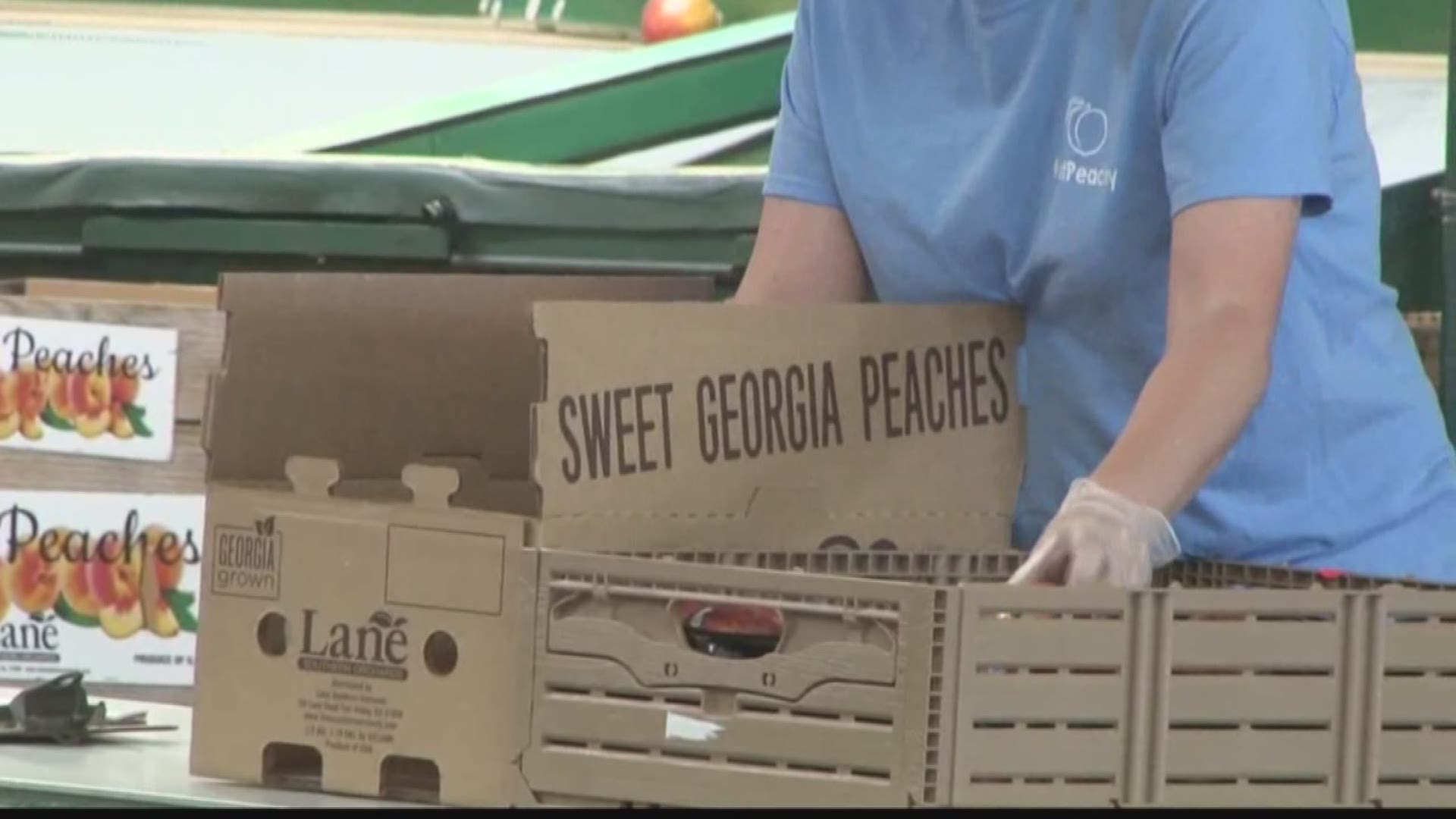 If you've visited Lane Southern Orchards recently, you may have noticed a popular attraction is closed. The catwalk above the packing line is shut down to the public for good.